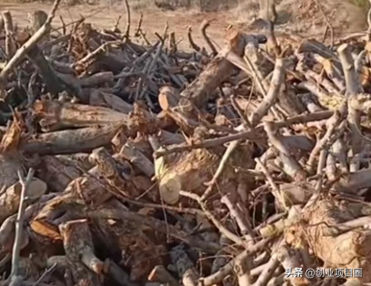 图片[2]-年赚百万元-互知网